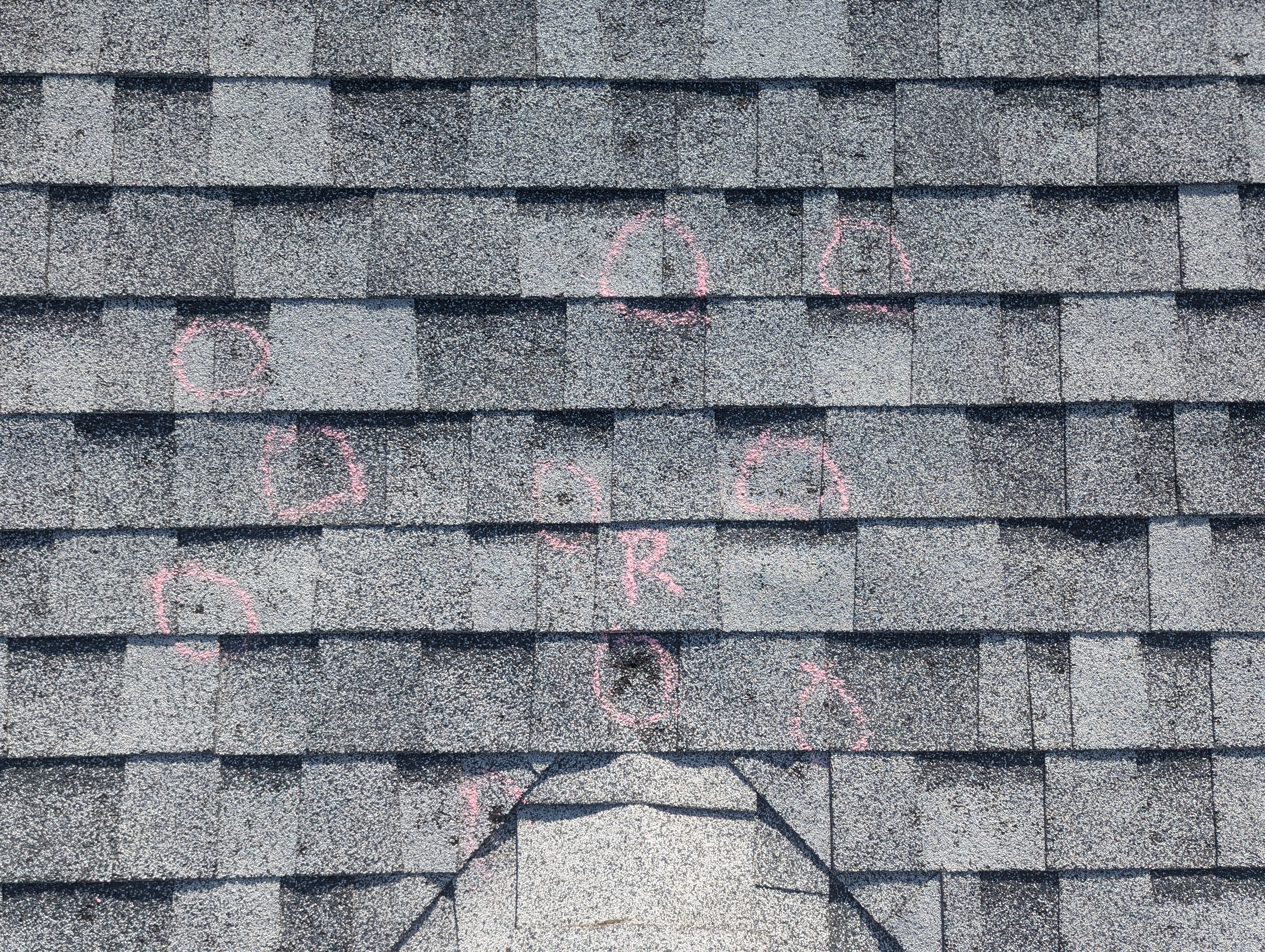 Asphalt shingle roof with chalk-marked hail damage from storm inspection